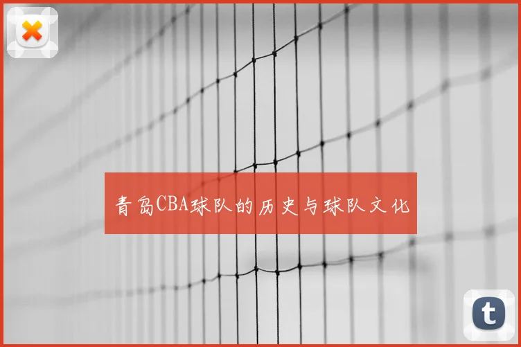 青岛CBA球队的历史与球队文化