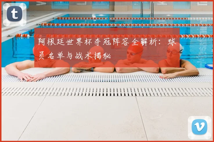 阿根廷世界杯夺冠阵容全解析：球员名单与战术揭秘