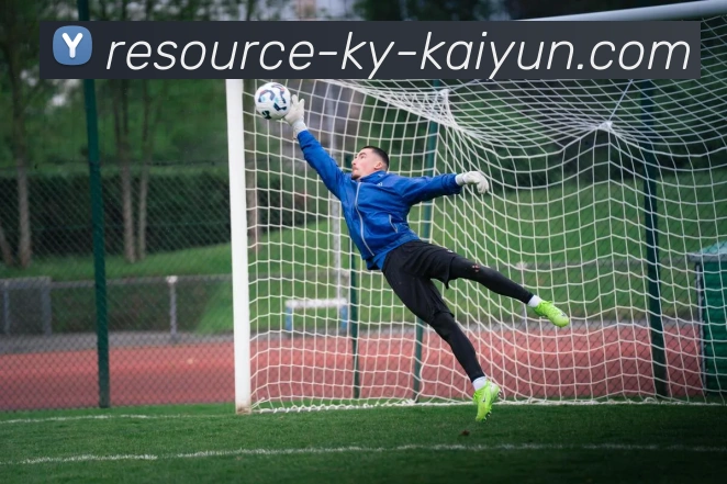 开云app平台生态图