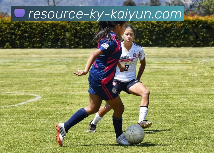 App Interface Preview